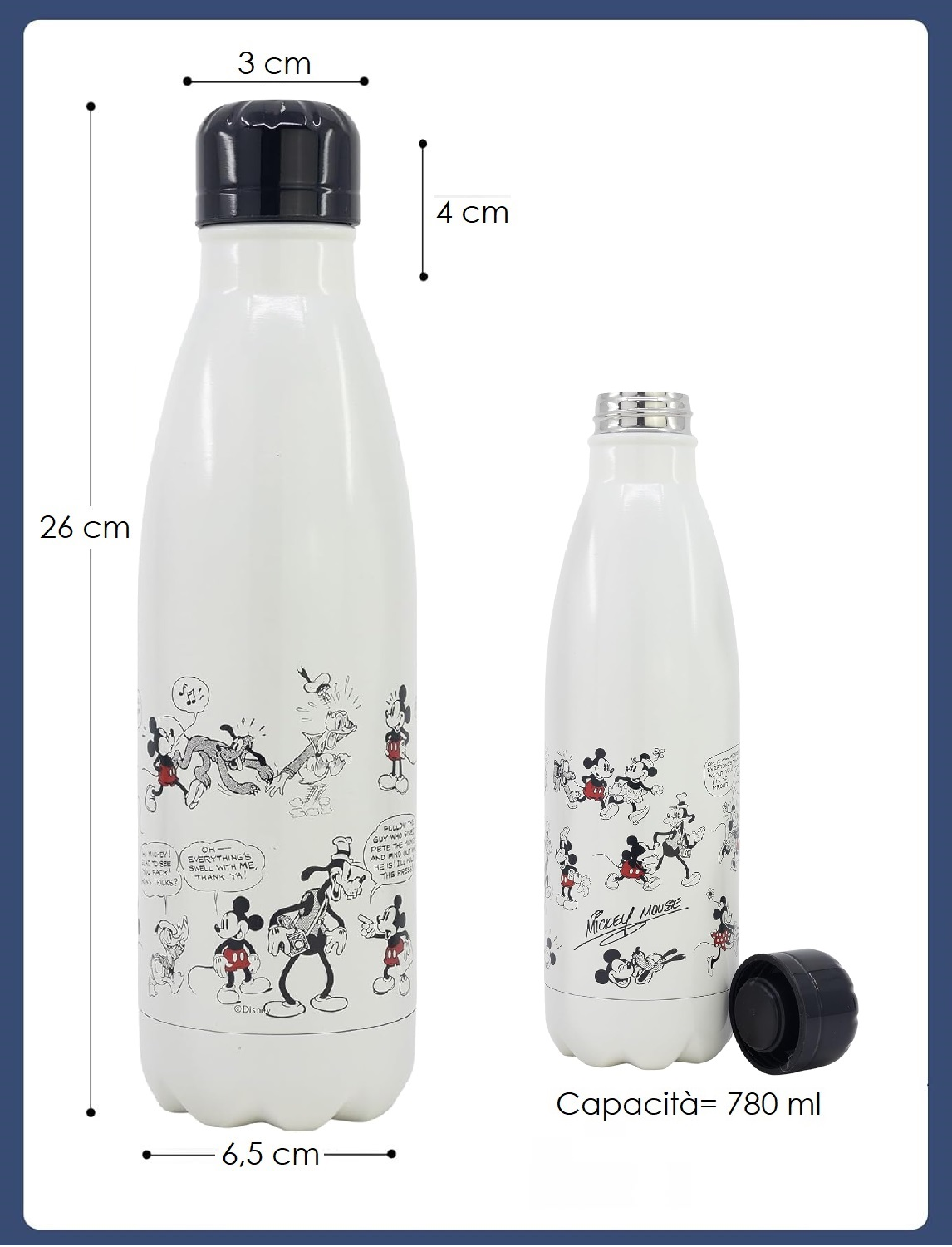 Borraccia Topolino e Amici Vintage in Acciaio Inox DISNEY Bottiglia con Tappo a Vite 780 Ml. - 75566