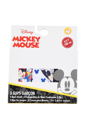 Mutandine Set 3 Pezzi Topolino DISNEY Slip in Cotone in Scatola 3/6 Anni - Ye30024