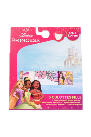 Mutandine Set 3 Pezzi Principesse DISNEY Slip in Cotone in Scatola 3/8 Anni - Ye30054