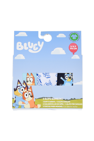 Mutandine Set 3 Pezzi Bluey Slip in Cotone in Scatola 3/6 Anni - Ye30002.bio