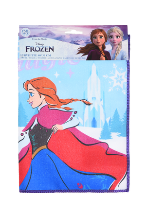 Tovaglietta Frozen DISNEY in Tessuto da Colazione Pranzo 40x30 CM - Ye18272