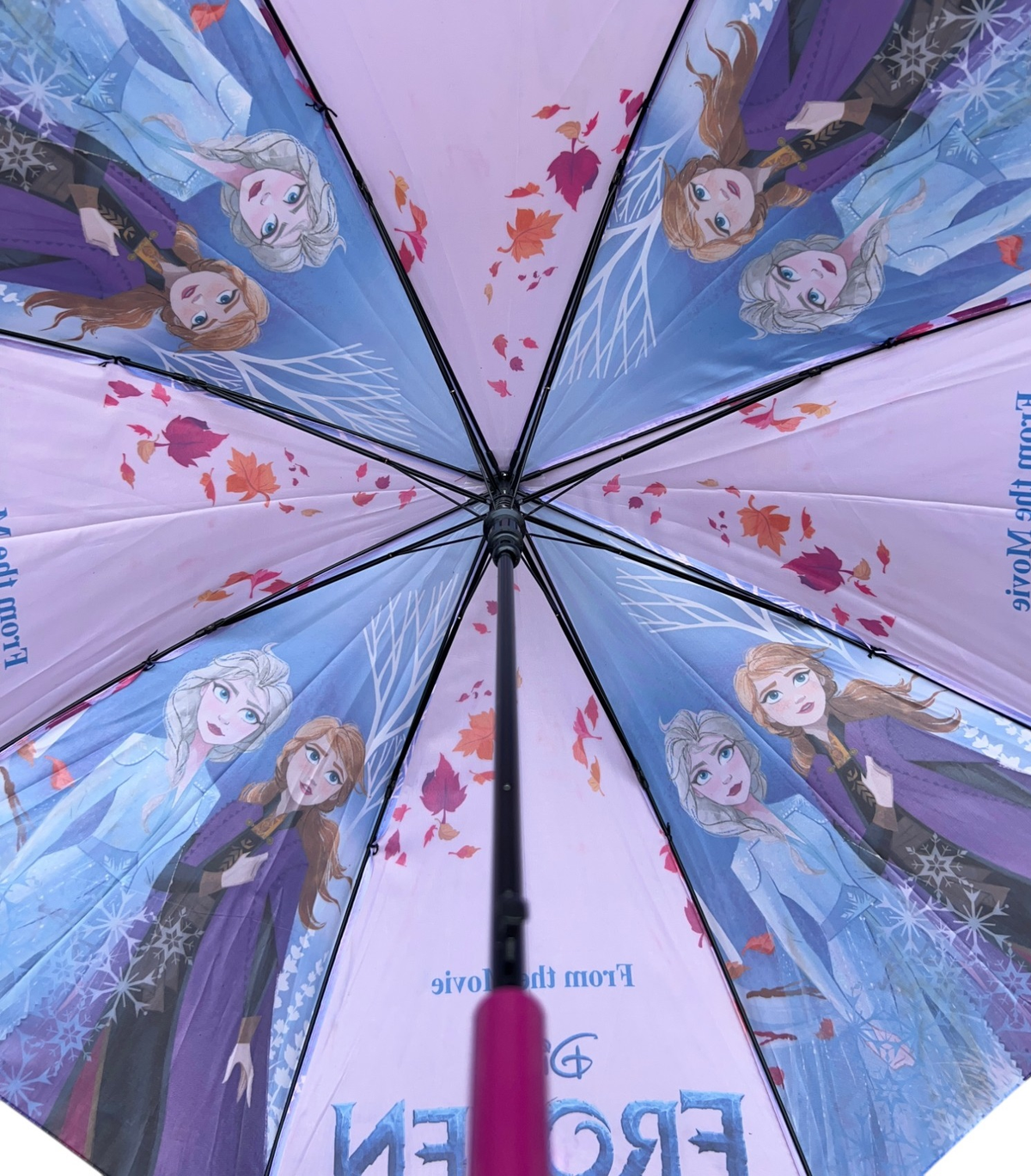 Ombrello Frozen DISNEY per Bambini in Tessuto con Apertura Automatica e Struttura 8 Raggi - Fro24-2620