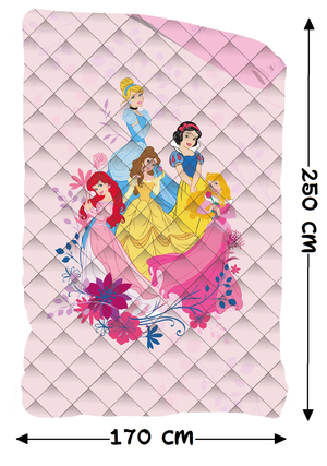 Trapuntino Doubleface Principesse DISNEY Coperta Copriletto Trapuntato 100 Gsm Letto Singolo 170x250 CM - Pri1771